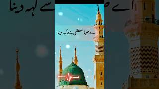 Aay Saba Mustafaﷺ Se Kehdyna  heart touching naat ❤️‍🩹 youtubeshorts shorts quranechoes [upl. by Akimak482]