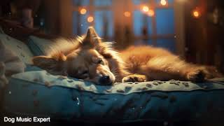 DOG MUSIC  🐶💤 RELAXING MUSIC FOR DOG AND KITTEN 3 HOURS l Calm Music [upl. by Eelibuj]