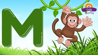 Letter M  Learn Alphabets abcdefghijklmnopqrstuvwxyz kidslearningchannel [upl. by Riba]