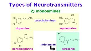 Neurotransmitters Type Structure and Function [upl. by Luis]