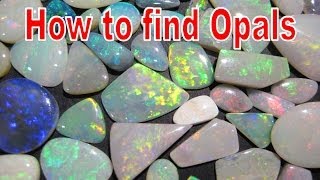 How to find Opals  Coober Pedy  Liz Kreate [upl. by Nomla882]