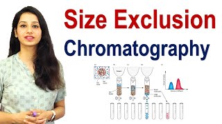 Size exclusion chromatography I Gel filtration I Molecular Sieve Chromatography  Techniques [upl. by Constanta]