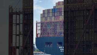 Big 400 m Container Ship Arrival [upl. by Yreme]