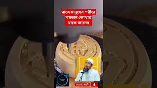 আবু ত্বহা মোহাম্মদ আদনান এর ওয়াজ।। রাতের বেলা মানুষের শরীরে শয়তান কোথায় থাকে। [upl. by Airetal]