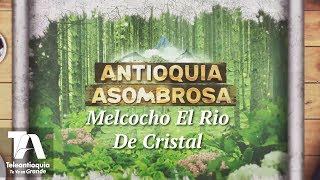 Antioquia Asombrosa Melcocho El Rio De Cristal  Teleantioquia [upl. by Yrrag]