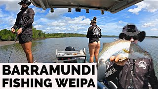 Barramundi Fishing Weipa [upl. by Gentilis]