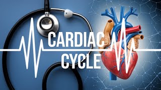 Understanding the cardiac cycle Animation [upl. by Hermes649]