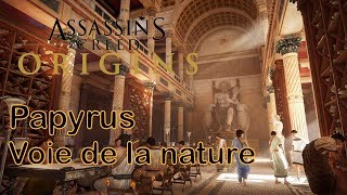 Assassins Creed Origins  Papyrus 625  Voie de la nature  Natures way ALEXANDRIE [upl. by Esilehs]