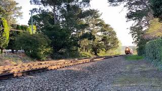 3801 at Burradoo [upl. by Nafets485]