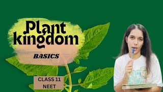 taxonomy  plant kingdom class 11 NEET [upl. by Hurlee]