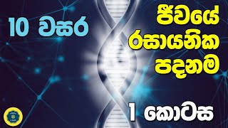 Grade 10 Science in Sinhala Medium  10 විද්‍යාව 1 පාඩම 1 කොටස  ජීවයේ රසායනික පදනම [upl. by Lisle564]