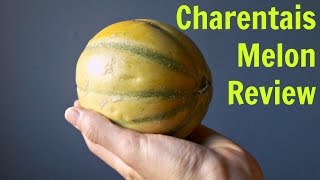 Charentais Melon Review  Weird Fruit Explorer Ep 190 [upl. by Inaffets111]