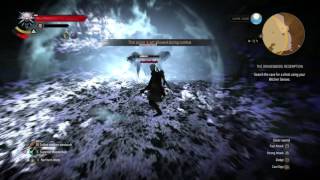 The Witcher 3 How to defeat Arachnomorph Colossi On Death March [upl. by Xed]