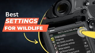 quotMastering Nikon D850 Custom Menu Settings for capturing wildlife photos A StepbyStep Guidequot [upl. by Shu]