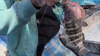 Vlog 095 Kitang  Long Line Fishing Day 1 Part 1 [upl. by Asimaj]