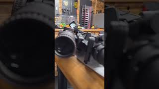 Testing the Defender CCW Dot on an AR [upl. by Pearman361]