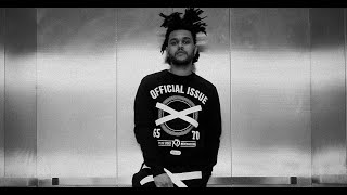 quotAbel Tesfaye The Weeknd The Rise of a Global Music Iconquot [upl. by Lonergan506]