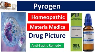 Pyrogen Homeopathic Medicine  Drug Picture  Materia Medica bhms [upl. by Elbys161]