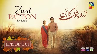 zard patton ka band episode 1  Sajal aly  Humza Sohail  Hum Tv  Pakistani drama  Review  jszin [upl. by Mapel]