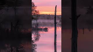 Die 3 besten Fotospots für den Herbst in der Lüneburger Heide [upl. by Aisel]