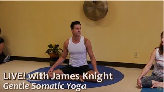 Gentle Somatic Yoga LIVE with James Knight ERYT c1 [upl. by Nimesay986]