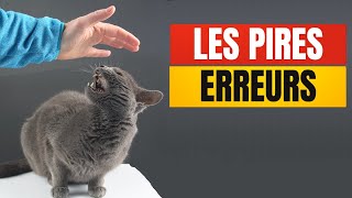 20 ERREURS fréquentes que font les Propriétaires de Chats  Incroyablement Top [upl. by Susy]