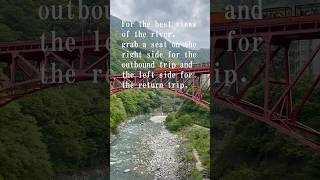 Kurobe Gorge Railway japantravel shorts japan [upl. by Denyse767]