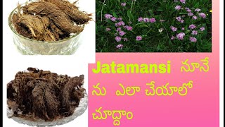 Jatamansi తో నూనే ను ఎలా చేయాలో చుద్దాం  How to make jatamansi hair oil 👩  GY dairy [upl. by Conti]