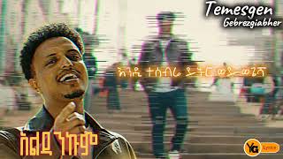 Temesgen Gebrezgiabher Temu  Aldankum  አልዳንኩም  new amharic music yg lyrics [upl. by Anastice]