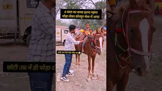 4 साल का बच्चा इतना कीमती घोड़ा को दौड़ा रहा 😱 सोनपुर मेला में ll horse horsemarket sonpurmela [upl. by Venita]