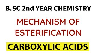 Mechanism of Esterification  Carboxylic Acids  BSC 2nd Year Chemistry [upl. by Hagerman]