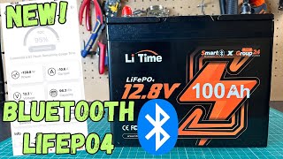 NEW LiTime 100Ah LiFePO4 Battery With Bluetooth [upl. by Ecirpak95]