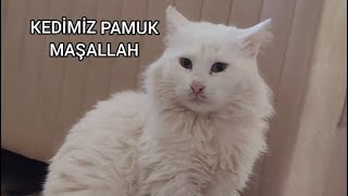 Onur AlpkanKEDİMİZ PAMUK [upl. by Nilyak]