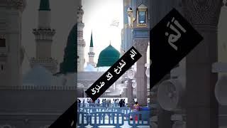 naat islamic stutsnaat short video naat tarendingnaat love [upl. by Conrado]