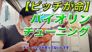 【バイオリンチューニング】〜チューニング方法・弾く前の準備〜本番直前模様 [upl. by Eniamej]