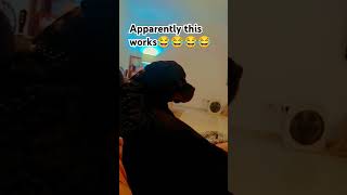 My dog barked when I stopped the vid😂😂😂😂😂 [upl. by Atlee]