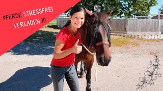 🐎 Mehr Pferdeverständnis amp easy Verladen 💖 [upl. by Roze1]