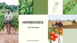 SELECTIVE HERBICIDES ON ONIONS [upl. by Enelia]