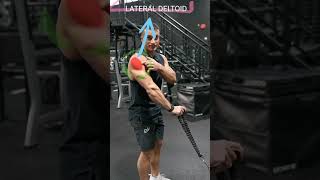 TODAYS BEST GYM TIPS VIDEO CABLE ROW EXPLAIN IN BRIEF gym new latest fitness motivation VIRAL [upl. by Tippets]