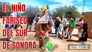 Tradiciones quotEl Niño FARISEOquot Los Ejidos del Sur de Sonora 🌵 [upl. by Asital]