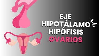 Fisiología de las GÓNADAS  Eje hipotálamo hipófisis ovarios [upl. by Giulietta]