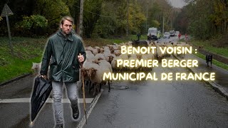 Transhumance 2024 Épisode 2  Benoit Voisin berger municipal depuis 20 ans à Évreux [upl. by Nnainot]