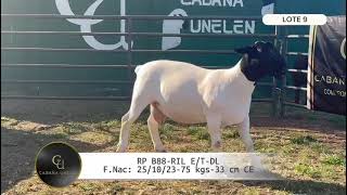 LOTE 9 B88 [upl. by Refenej]