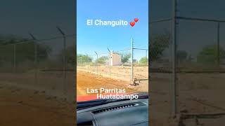 El Changuito Las Parritas Huatabampo Sonora ❣️ SUSCRIBETE pueblosdeméxico sonora sonoramexico [upl. by Niltiac500]