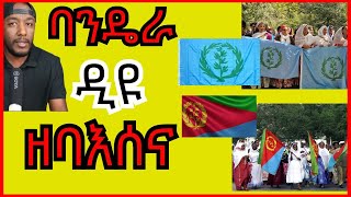 Eritrean flags difference ባንዴራታት ኤርትራ ንምንታይ ይፈላልየና  Yikealo Tv [upl. by Hgielrak]