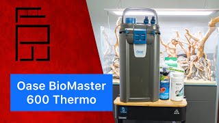 Oase BioMaster 600 Thermo für das 90P I Pachiaquarium I Unboxing [upl. by Sievert363]