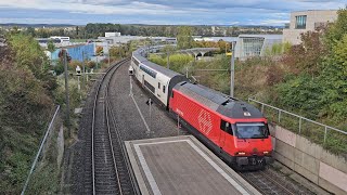 IR 75 nach Zürich in Tägerwilen Dorf TG [upl. by Attenyw28]