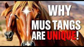 What Makes Mustang Horses So SPECIAL [upl. by Harilda]