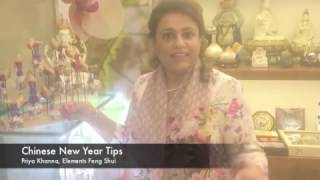 Tips for the Chinese New Year 2017 Part 1  Priya Khanna [upl. by Ierna]