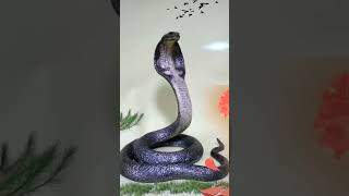 Nagin dhun snake dance [upl. by Jain794]